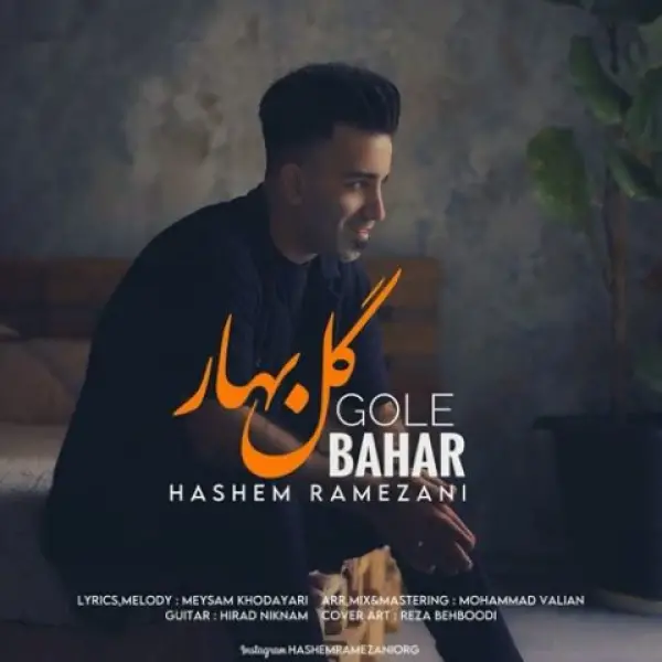 دانلود آهنگ هاشم رمضانی گل بهار